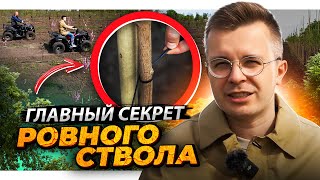 Как установить бамбук в питомнике растений ✅Проверенный способ