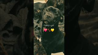 Daddys Girl Juno Bella