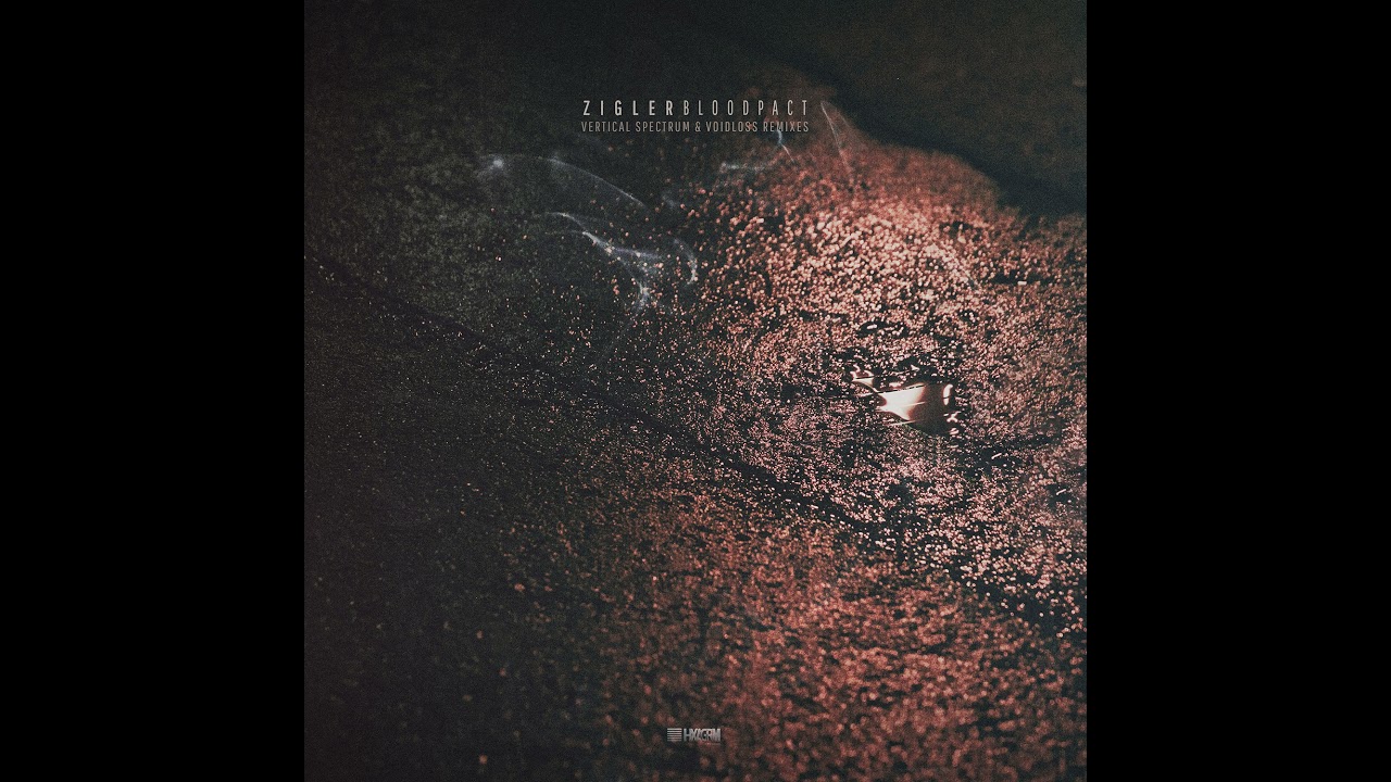 Zigler - Judas Betrayal (Voidloss Bitterest Kiss Remix)