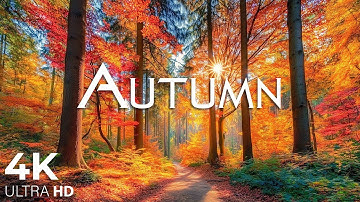 11 HOURS of 4K Enchanting Autumn Nature Scenes + Relaxing Piano Music for Stress Relief