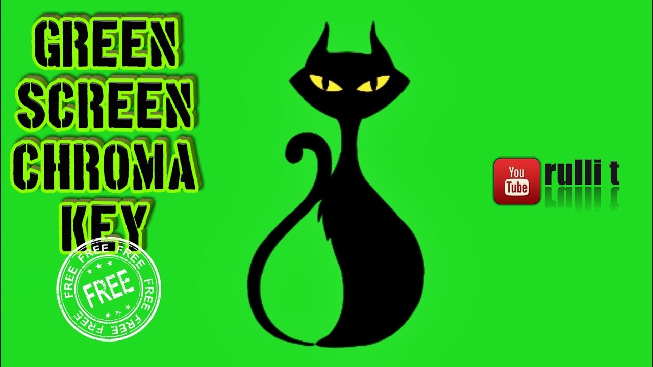 Green Screen HD BLACK CAT, HALLOWEEN animation 🔊 sound YouTube