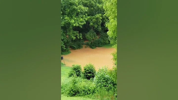 a little flooding in two mile creek behind our house