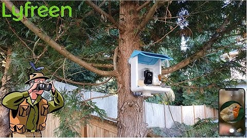 Lyfreen Smart AI Recognition Solar Bird Feeder | Perfect For Birdwatching!