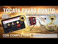 🛑 Pavão Bonito em Recanto das Águas - CD Completo - Tocata Completa  | Misael Edmur Tiãozinho e Cia