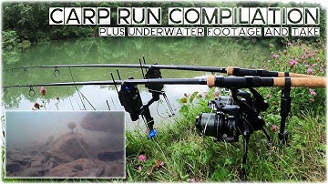 Delkim Carp Run Compilation - with Underwater footage