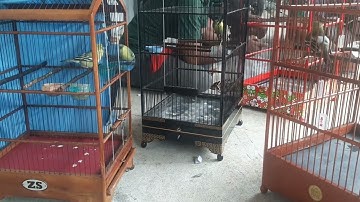 Kopdar Bareng Komunitas Sirtu/Sirpu/Cipow/Cipoh