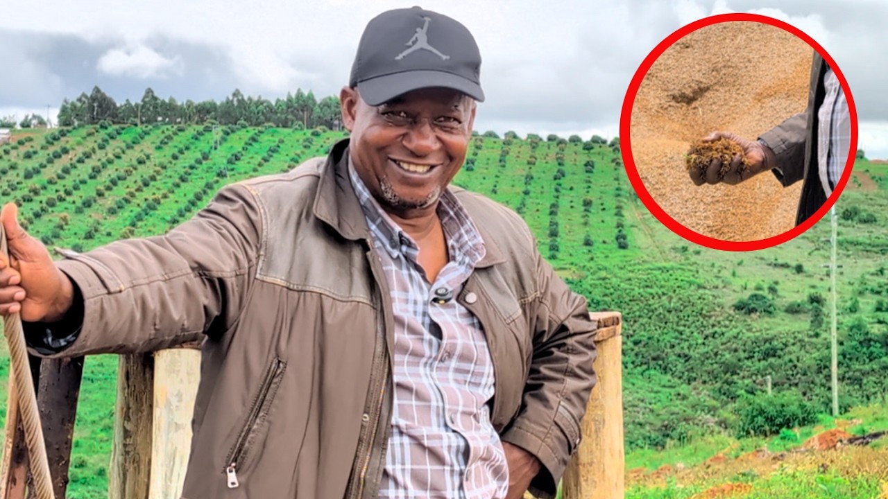 JINSI YA KUANDA SAMADI KWENYE SHAMBA LA PARACHICHI | JIFUNZE NA Frank Msuya