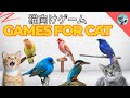 猫向け3Dゲーム 🎮 Cat TV 🐱 [ CATCHING Birds 🐦] | 3D HD フルエンターテインメント