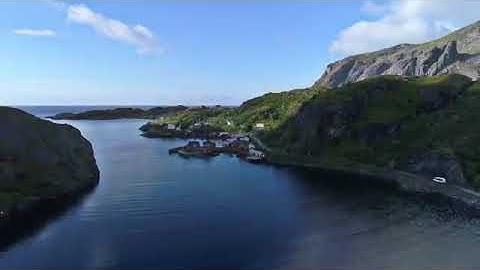 تلاوة خاشعة من سورة الحشر - رعد محمد الكردي