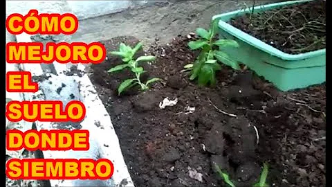 MEJORANDO MI SUELO, ALIDA GONZALEZ  AS LO HAGO EN ...
