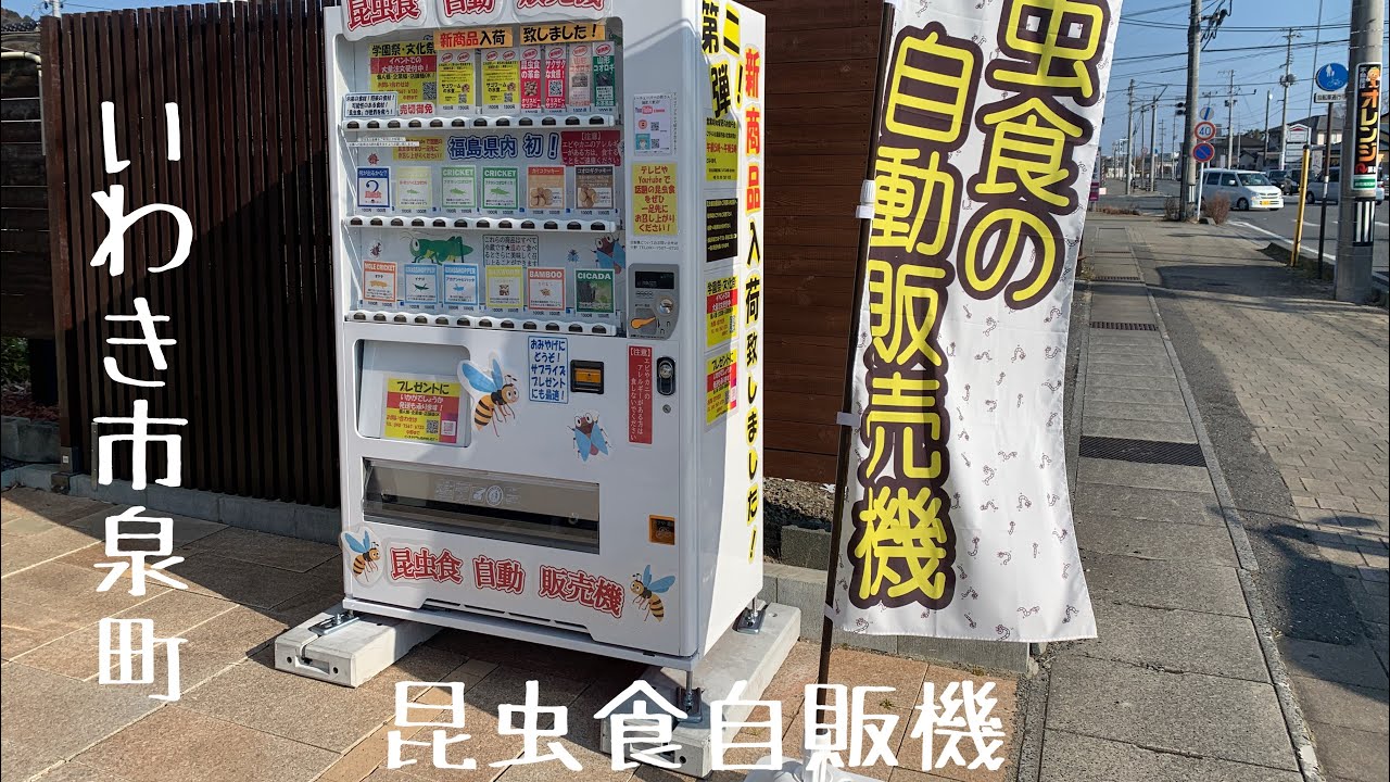 #9 【いわき市】昆虫食自販機でイモ虫を食べて来た！【サゴワーム】