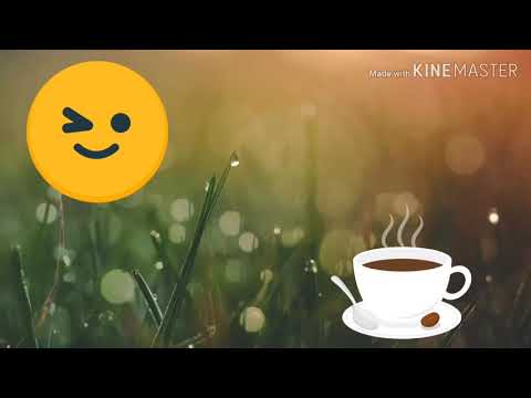 Мое утро! 🙂🙂 my morning \\ Настя - майер☺😚