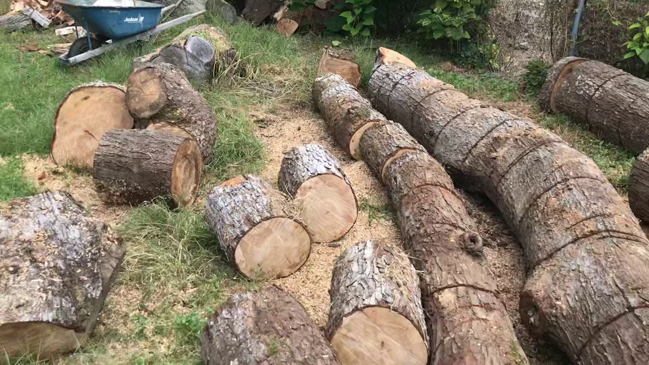 Firewood - YouTube