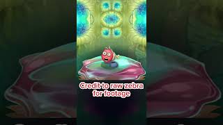 My singing monsters animations with different songs - Raw zebra 🕊