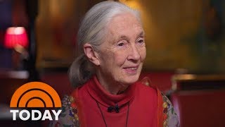 How Dr. Jane Goodall Used The Lessons She Learned From Chimps To Raise Her Own Children | TODAY