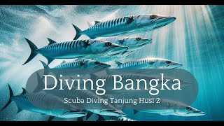 Bangka Island & Tanjung Husi: A Diver’s Dream #scubadiving #indonesia by Diving and Dogs 173 views 1 month ago 5 minutes, 43 seconds