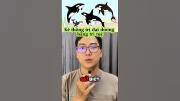 Phần 13: Kẻ thống trị đại dương bằng trí tuệ