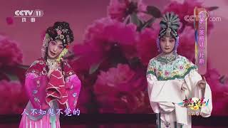 《青春戏苑》 20200731 戏韵芬芳| CCTV戏曲