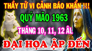 Cảnh Báo Từ Thầy Tử Vi: Quý Mão 1963 TRÁNH NGAY ĐIỀU NÀY 3 Tháng Cuối Năm 2025!