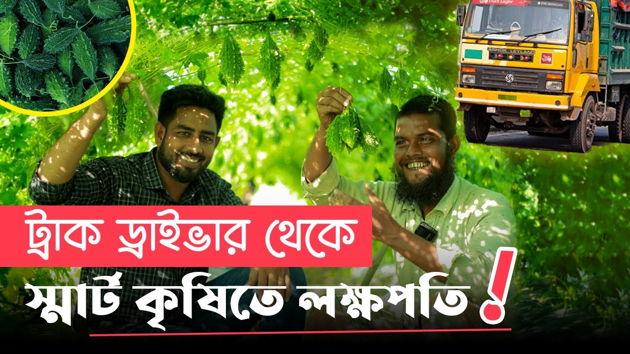 ট্রাক ড্রাইভার থেকে স্মার্ট কৃষিতে আসার গল্প|২০০০ টাকা মণ বিক্রি করছেন লিডার করলা |ময়মনসিংহ|এগ্রো-১