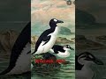 3 extinct animals