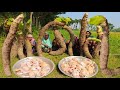 Most People Never Eat This Giant Taro - Chicken New Curry Recipe With Biggest VEG Taro Mashed Mixing