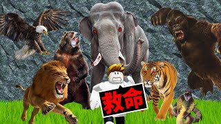 快跑！動物園的「吃人動物」全都抓狂了😱我能逃脫成功嗎？！【Roblox 機械方塊】