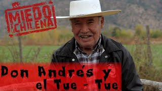 Don Andrés Y El Tue-Tue Miedo A La Chilena