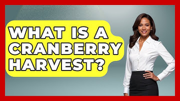 What Is A Cranberry Harvest? - The Midwest Guru