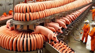 You will never sleep at night after seeing the sausage production in this factory!