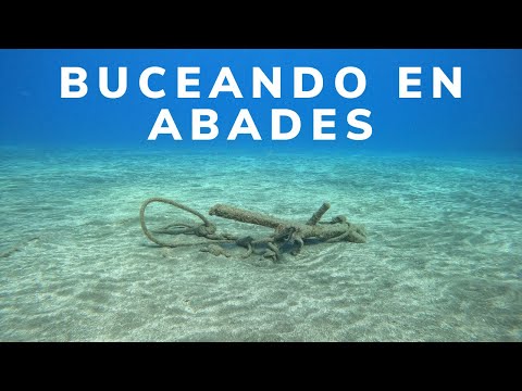 Buceo en Abades (noviembre 2020)  Tenerife | Islas Canarias