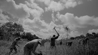 Ministério Público do Trabalho - Campanha contra a exploração do trabalho escravo (FILME 02)