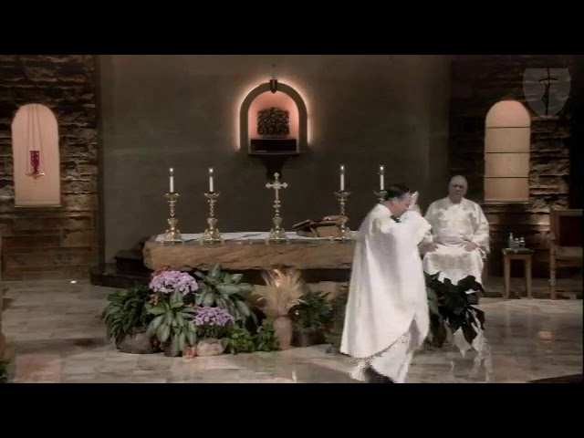 Father Jay's Homily from Sunday, November 1, 2020