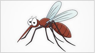 How to draw a mosquito cartoon step by step