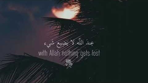 تلاوة للشيخ عبد الرحمن مسعد (بدون اعلانات)