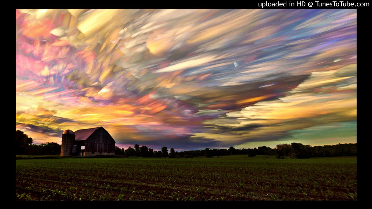 Disco Biscuits Kitchen Mitts Bonnaroo 6 13 08 Youtube