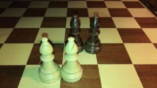 Chess: How to use the bishop movement instructions and position DIY