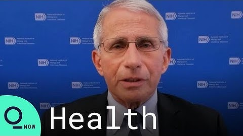 Fauci Says Covid May Not End, Hopes to Find Normalcy