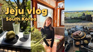 Korea vlog : เกาะเชจู ที่เที่ยว คาเฟ่ที่คนเกาหลีแนะนำ, พิกัดที่ควรไป