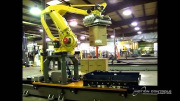 Multiple Line Sorting and Robotic Palletizing