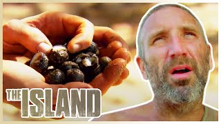 Living Off SNAILS And Coconuts 🐌 | The Island With Bear Grylls | S01 E04 | Thrill Zone