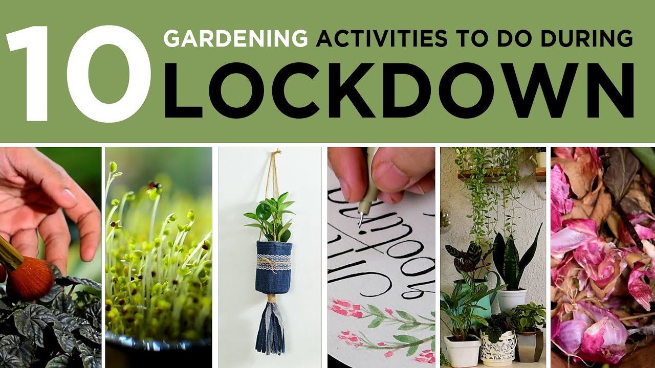10 gardening activities to do during lock down Gardening How to