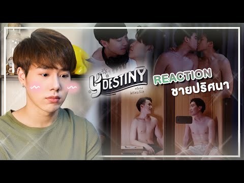 Reaction-Y-Destiny-[Wednesday]