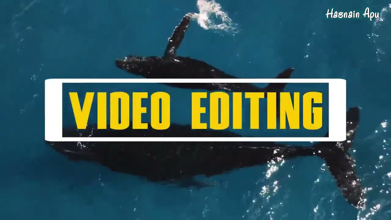 Professional Video Editing Ads  by Hasnain Apu