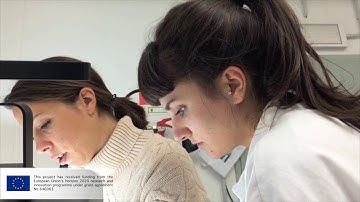 Eu Nanorestart Project