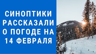 Погода на завтра, погода 14 февраля