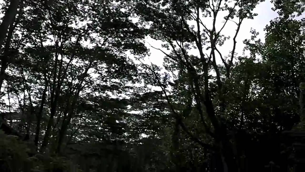 Mountain Tubing Kauai YouTube