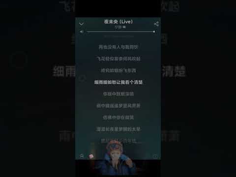 【姐姐的爱乐之程】歌曲分享:《夜未央》宁静/动态歌词