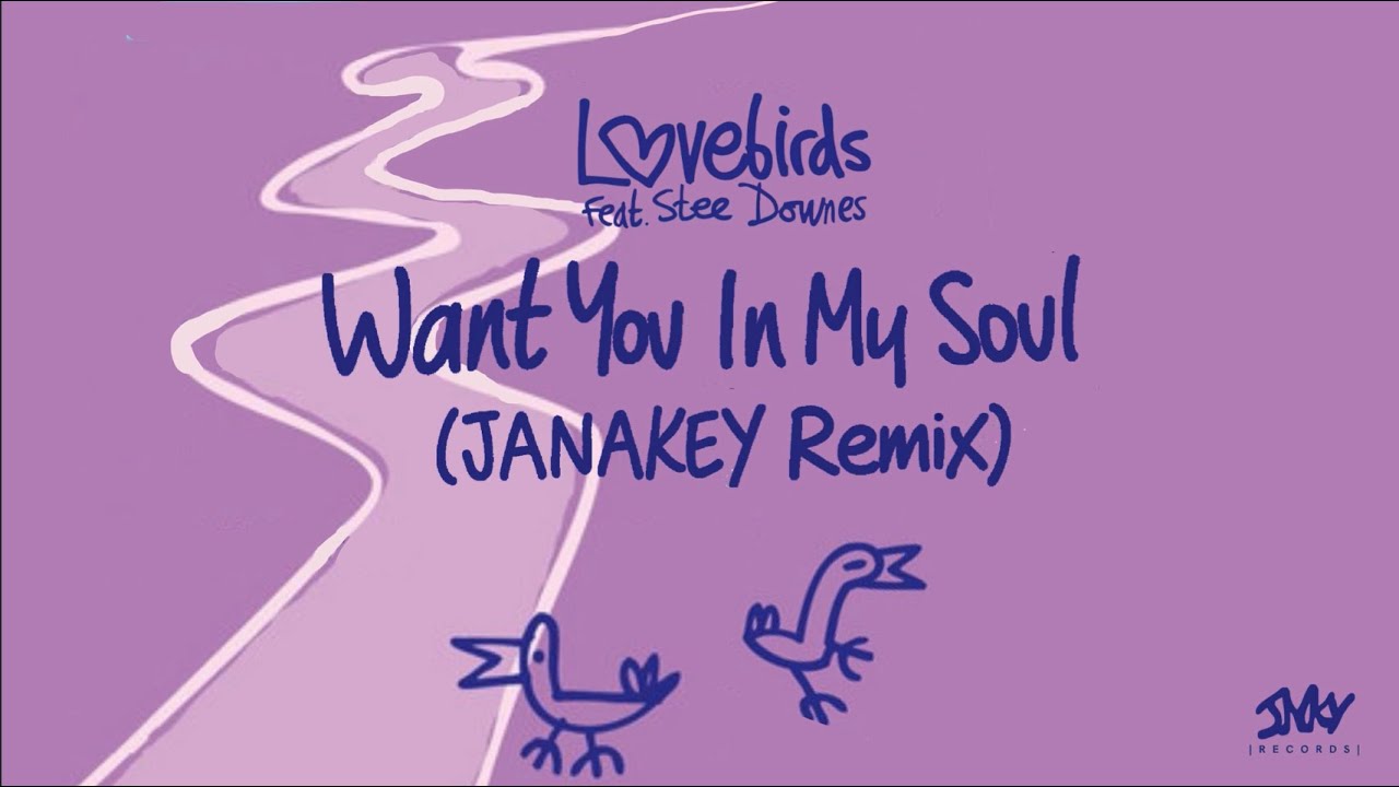 Lovebirds  -  Want You In My Soul ft.  Stee Downes (JANAKEY Remix)