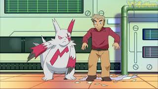 Zangoose attacks Professor Oak | Pokemon quiz